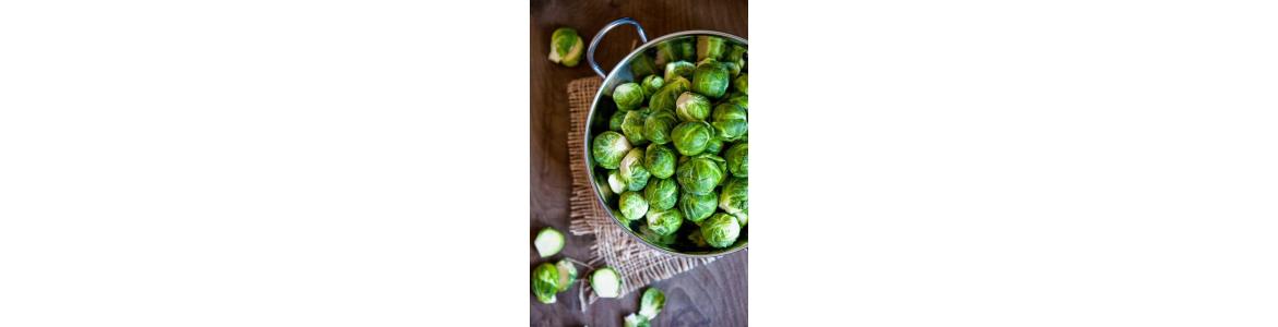 كرنب بروكسل  Brussels Sprouts