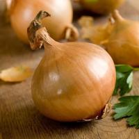 TEXAS EARLY GRANO ONION  بصل ذهبي (تكساس)