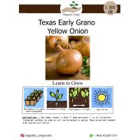 TEXAS EARLY GRANO ONION  بصل ذهبي (تكساس)