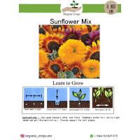 Sunflower Mix مزيج من اصناف عباد الشمس