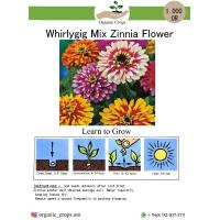 Whirlygig Mix Zinnia Flower مزيج من زهور الزينيا