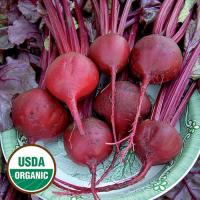 Chioggia& Bull's Blood Beet خليط صنفين من الشمندر