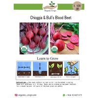 Chioggia& Bull's Blood Beet خليط صنفين من الشمندر