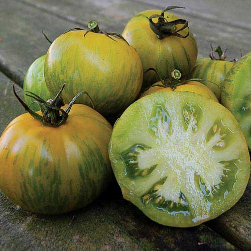 Green Zebra Tomato طماطم زيبرا خضراء