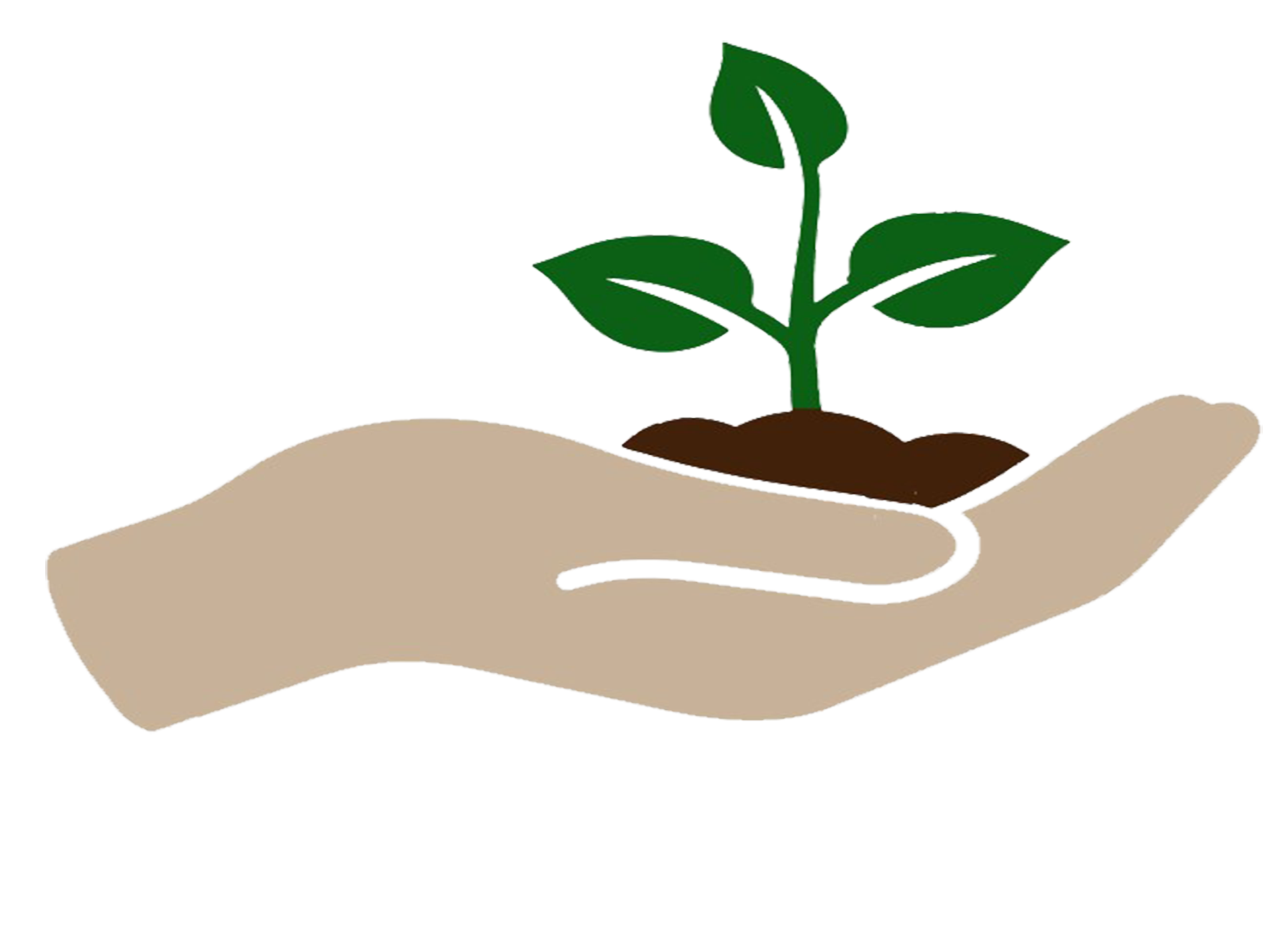 organic crops